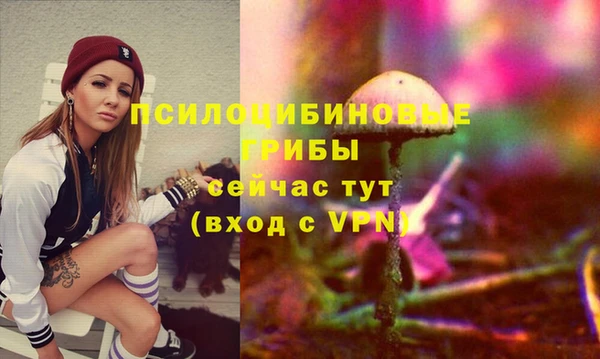 герыч Алзамай
