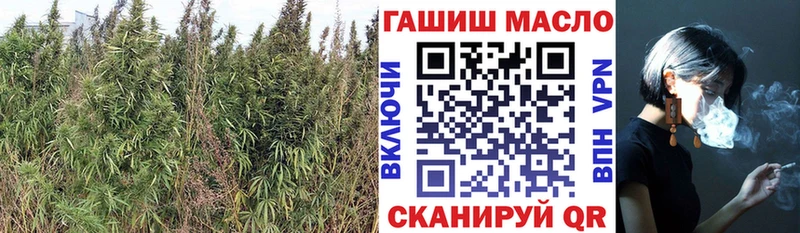ТГК жижа  хочу   Новоульяновск 