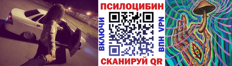 mega зеркало  Новоульяновск  Галлюциногенные грибы Cubensis 